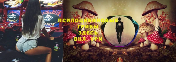 a pvp Краснотурьинск